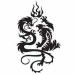 Shaolin Tattoo (Dragon & Tiger)