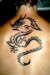 tattoo_dragon_hammersley